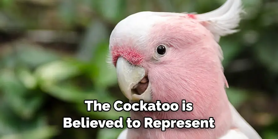 The Cockatoo is Believed to Represent