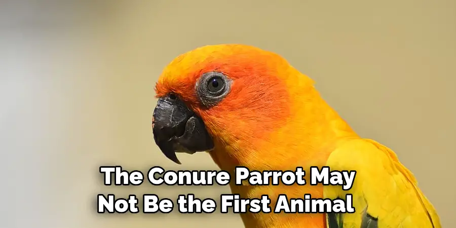 The Conure Parrot May Not Be the First Animal