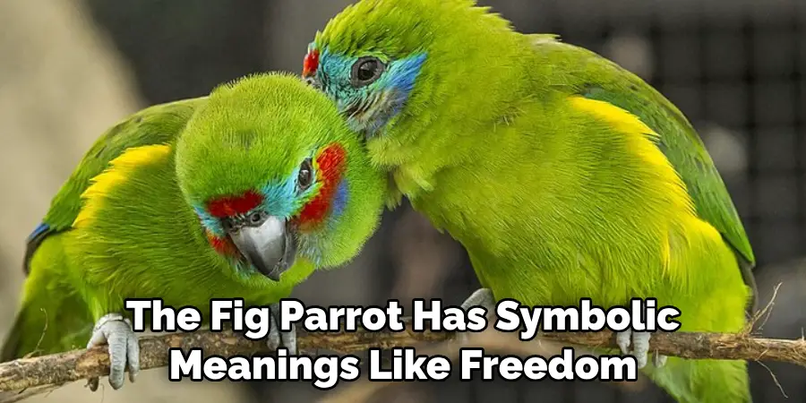 The Fig Parrot Has Symbolic Meanings Like Freedom