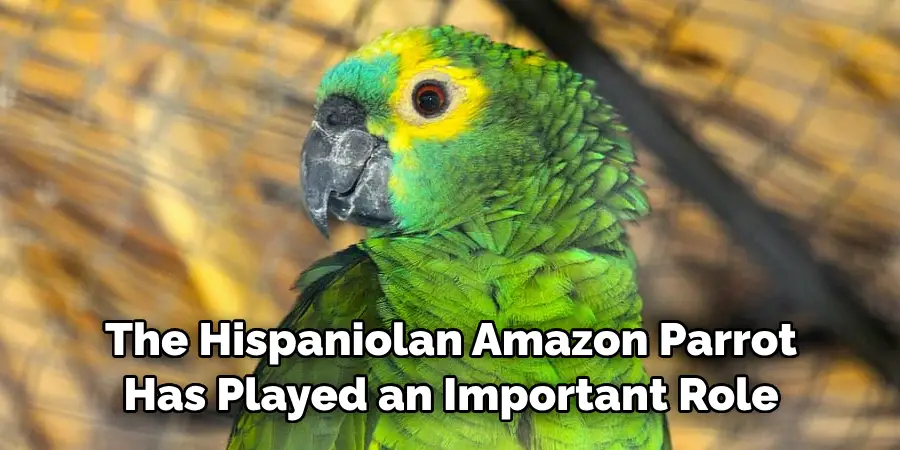 The Hispaniolan Amazon Parrot Has Played an Important Role