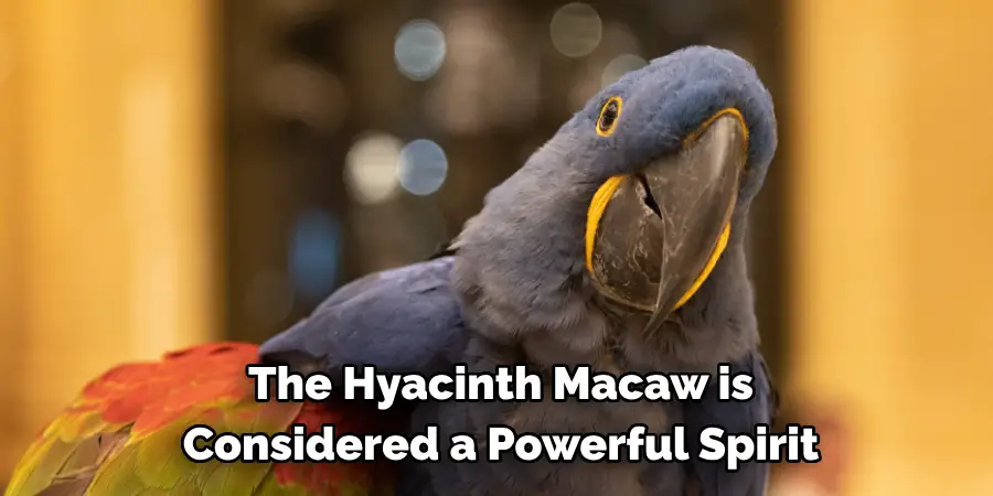 The Hyacinth Macaw is Considered a Powerful Spirit