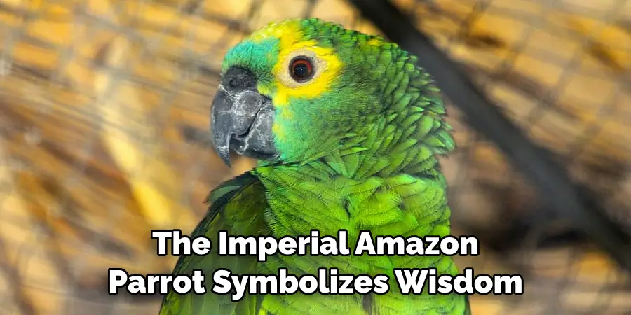 The Imperial Amazon Parrot Symbolizes Wisdom
