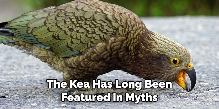 The Kea Has Long Been Featured in Myths