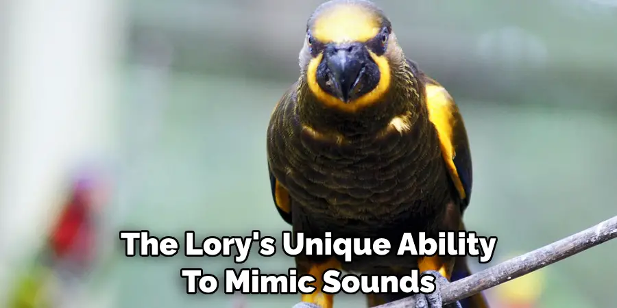The Lory's Unique Ability To Mimic Sounds