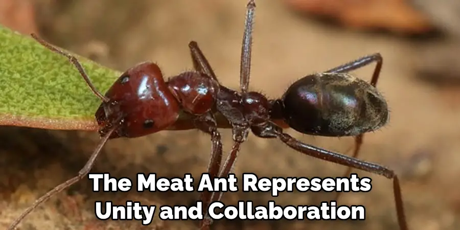 The Meat Ant Represents Unity and Collaboration