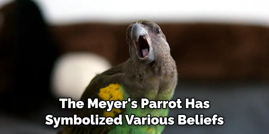 The Meyer's Parrot Has Symbolized Various Beliefs