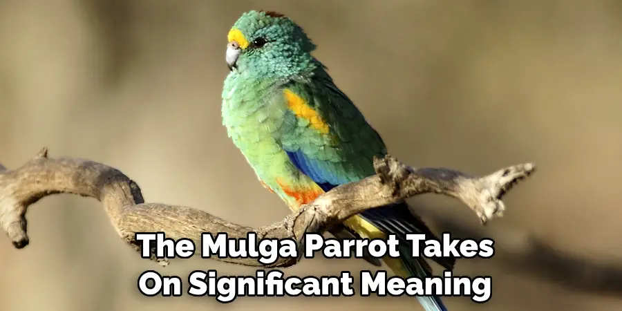 The Mulga Parrot Takes On Significant Meaning