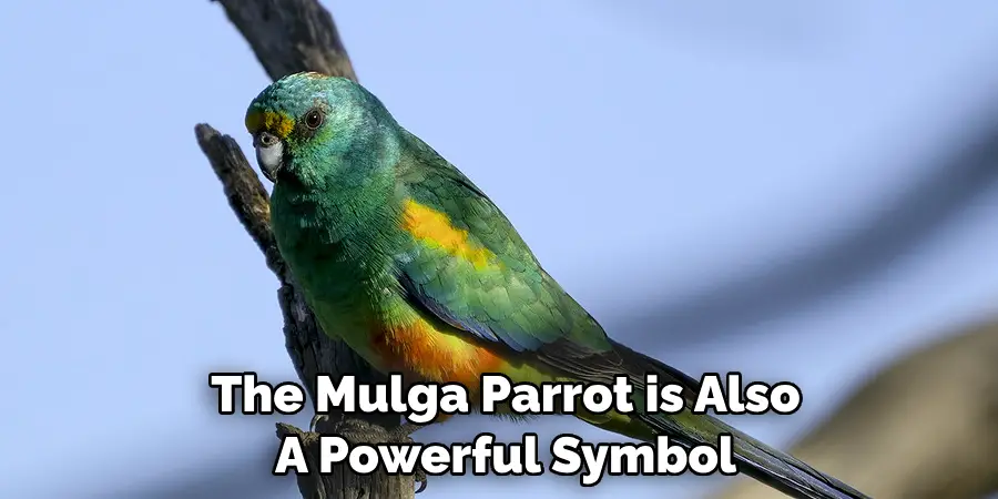 The Mulga Parrot is Also A Powerful Symbol