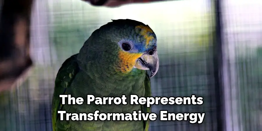 The Parrot Represents Transformative Energy