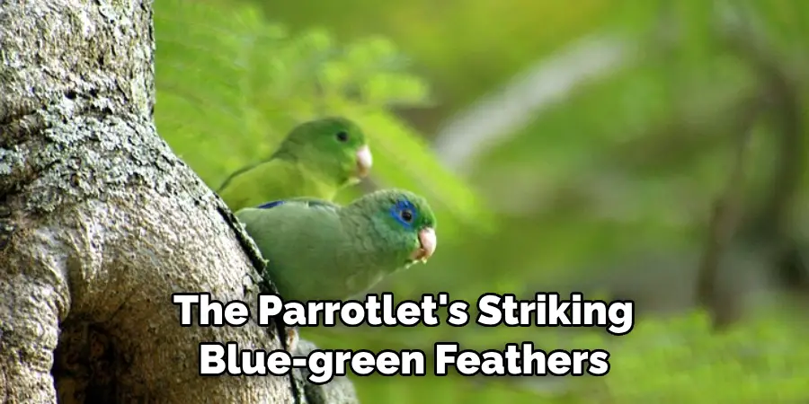 The Parrotlet's Striking Blue-green Feathers