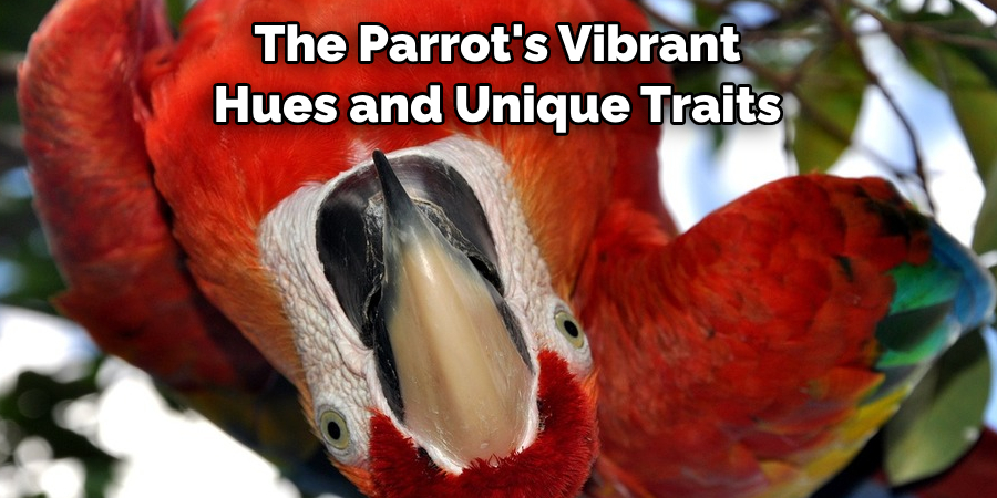 The Parrot's Vibrant Hues and Unique Traits