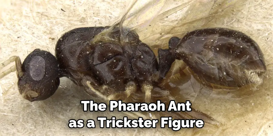 The Pharaoh Ant
as a Trickster Figure