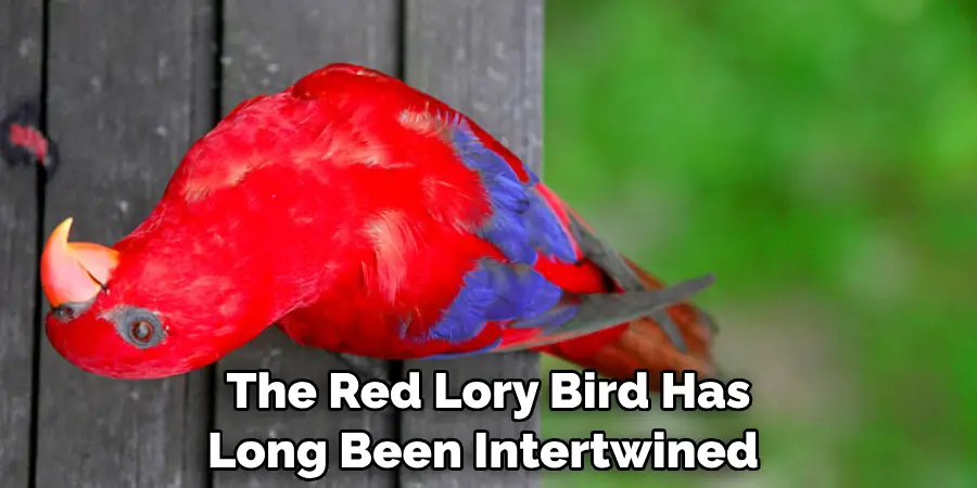 The Red Lory Bird Has Long Been Intertwined