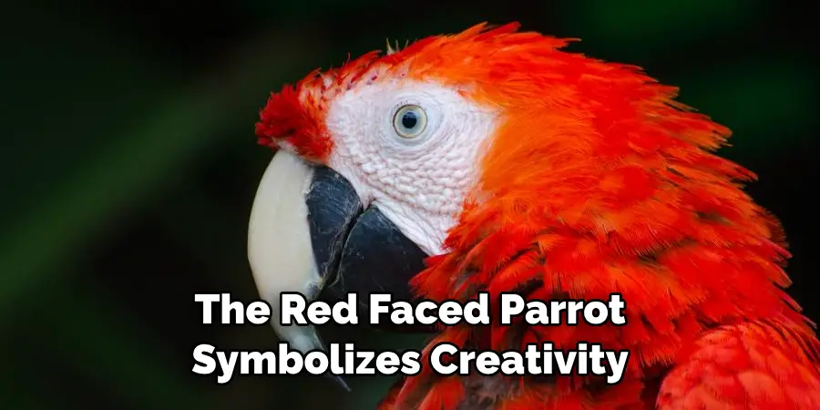 The Red-faced Parrot Symbolizes Creativity