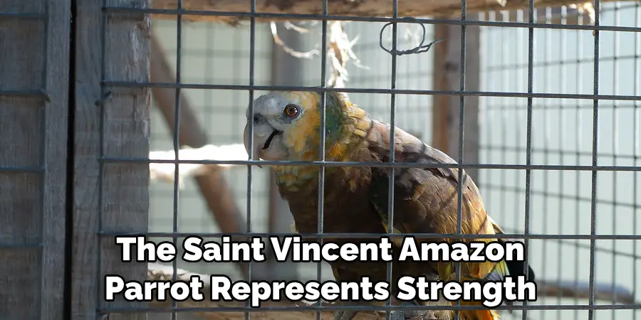 The Saint Vincent Amazon Parrot Represents Strength