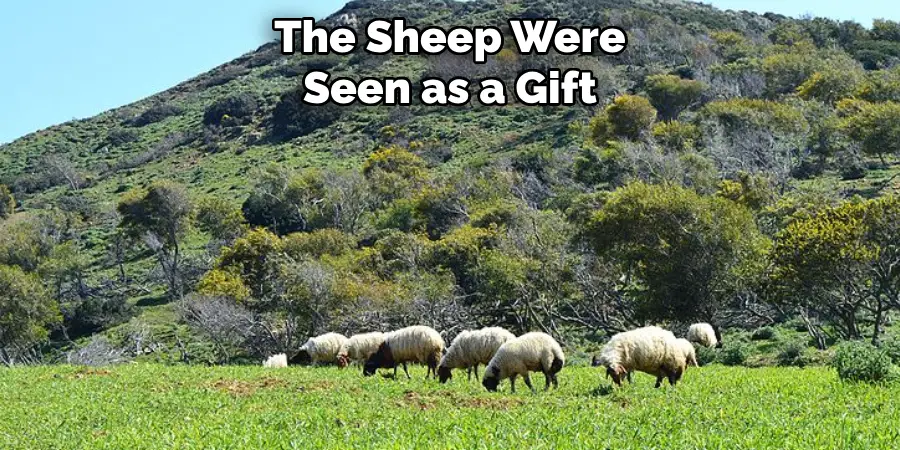 The Sheep Were
Seen as a Gift