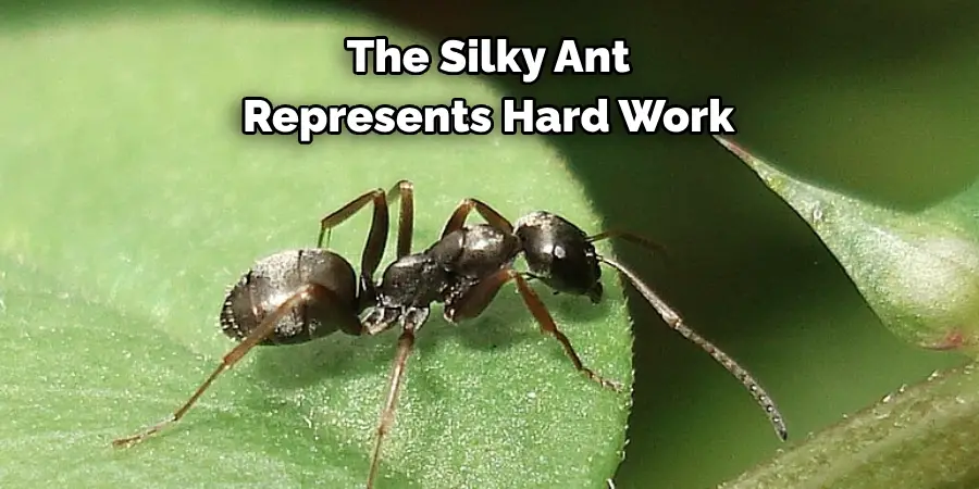 The Silky Ant Represents Hard Work