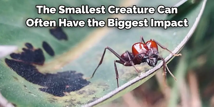 The Smallest Creature Can Often Have the Biggest Impact