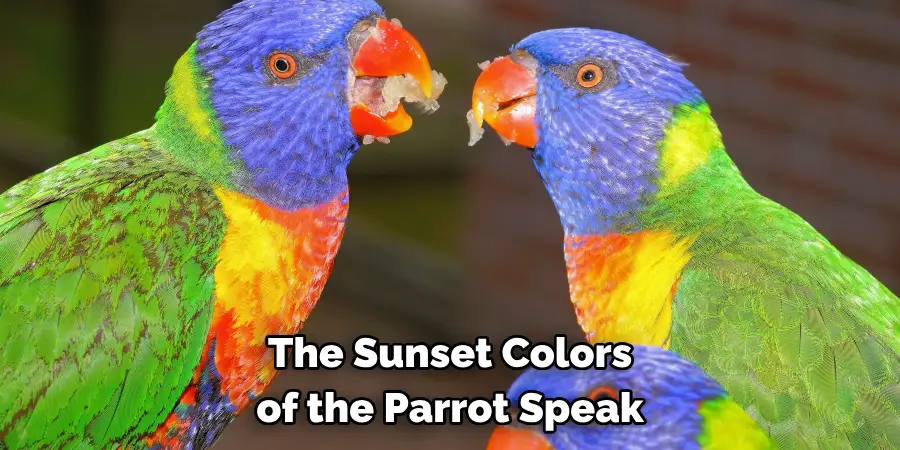 The Sunset Colors of the Parrot Speak