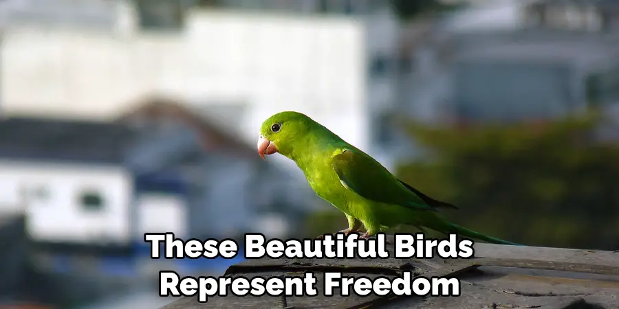 These Beautiful Birds Represent Freedom