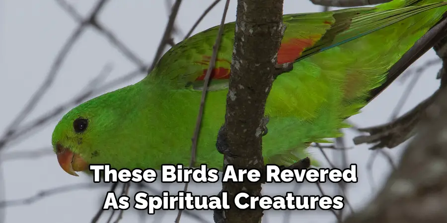 These Birds Are Revered As Spiritual Creatures