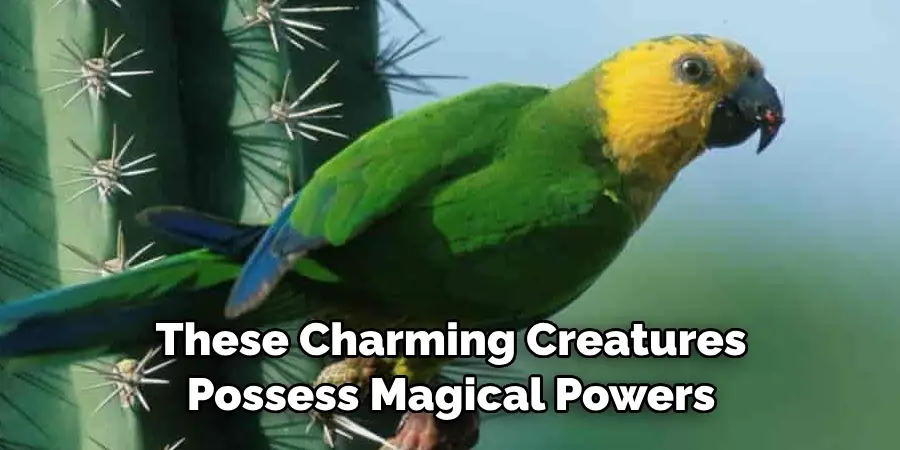 These Charming Creatures Possess Magical Powers