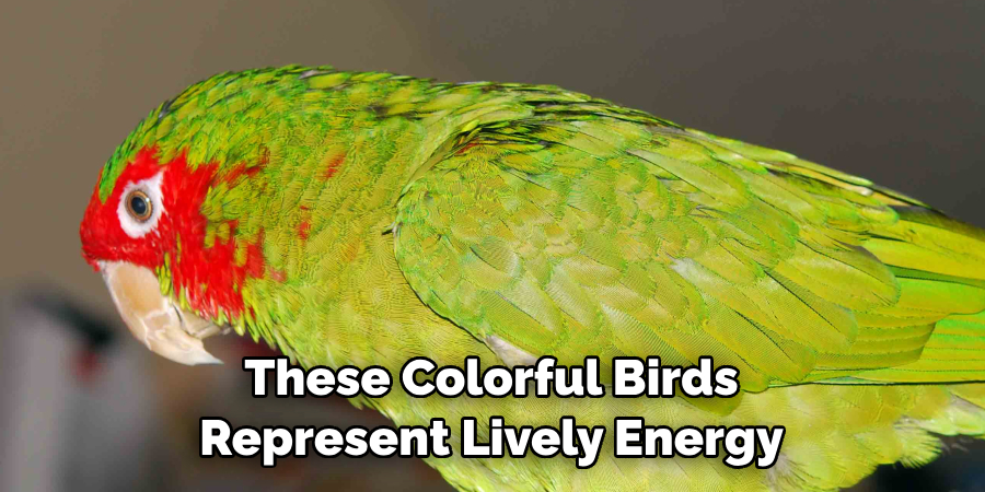 These Colorful Birds Represent Lively Energy