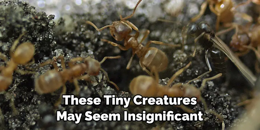 These Tiny Creatures May Seem Insignificant