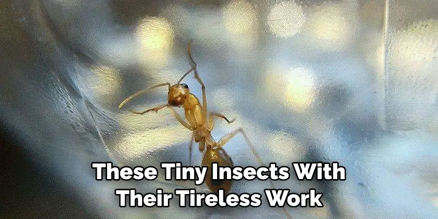 These Tiny Insects, With Their Tireless Work
