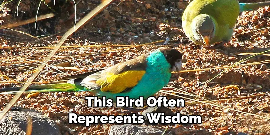 This Bird Often Represents Wisdom