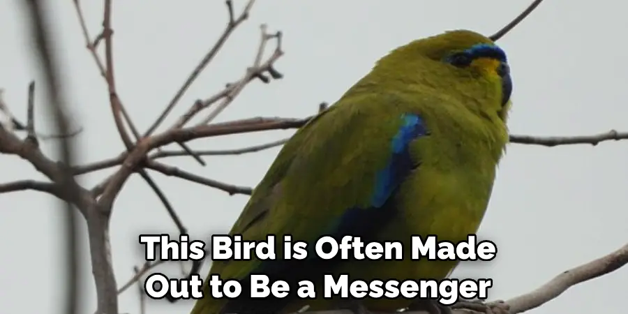 This Bird is Often Made Out to Be a Messenger