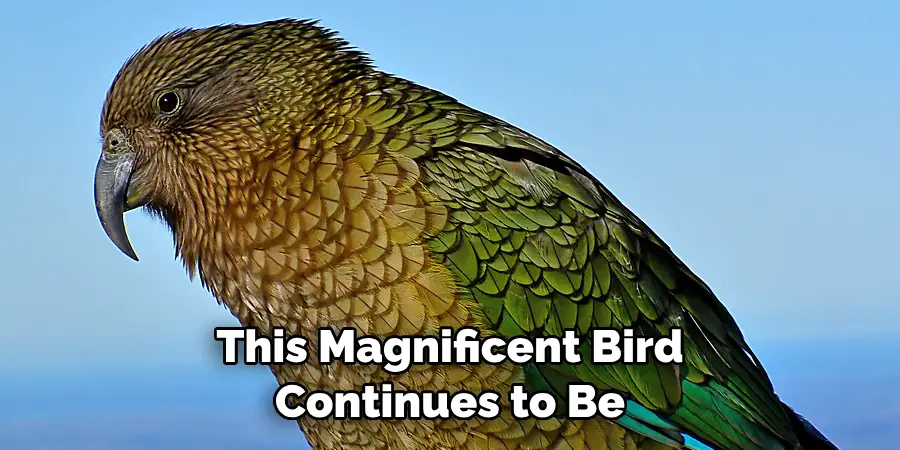This Magnificent Bird Continues to Be