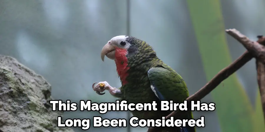 This Magnificent Bird Has Long Been Considered