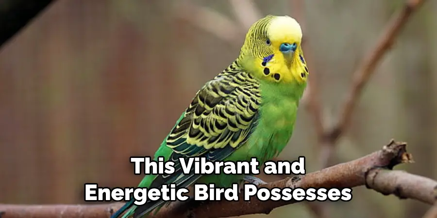 This Vibrant and Energetic Bird Possesses