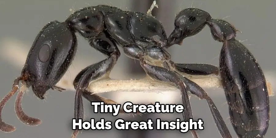 Tiny Creature Holds Great Insight