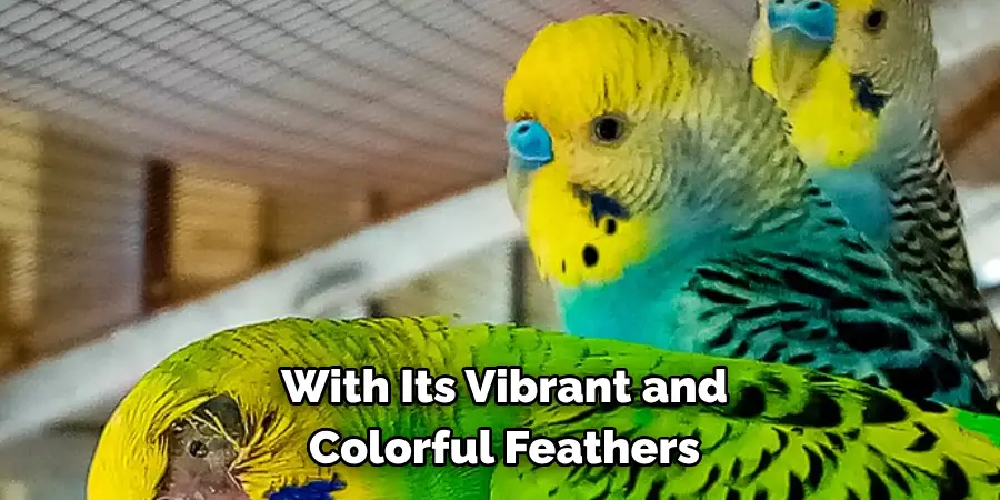 With Its Vibrant and Colorful Feathers