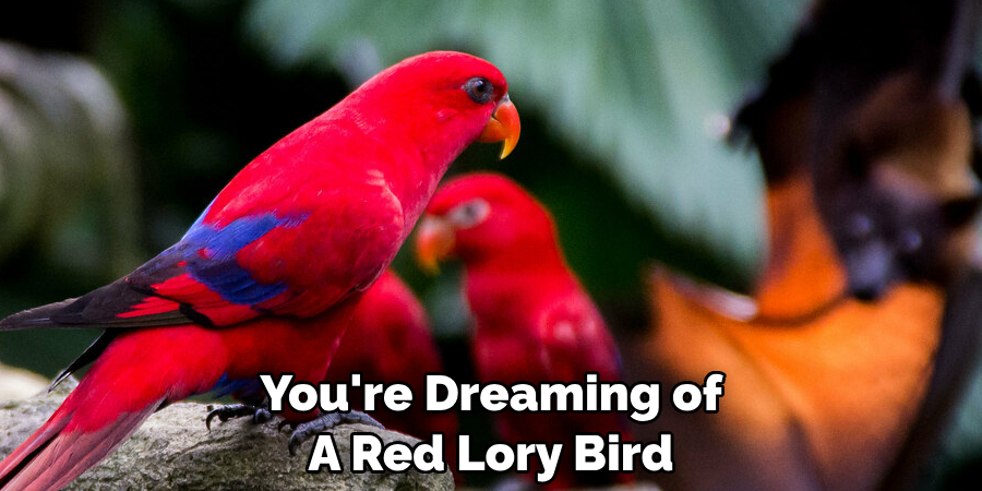 You're Dreaming of A Red Lory Bird