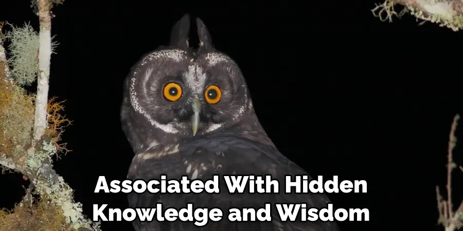 Associated With Hidden Knowledge and Wisdom
