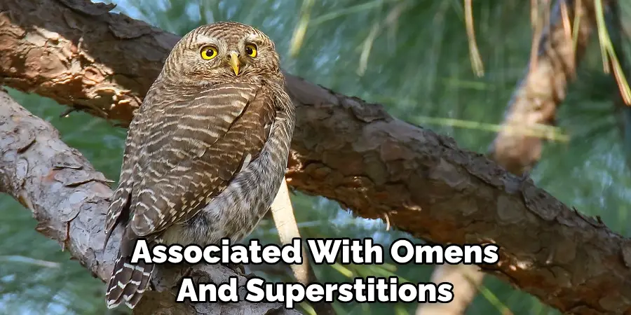 Associated With Omens And Superstitions
