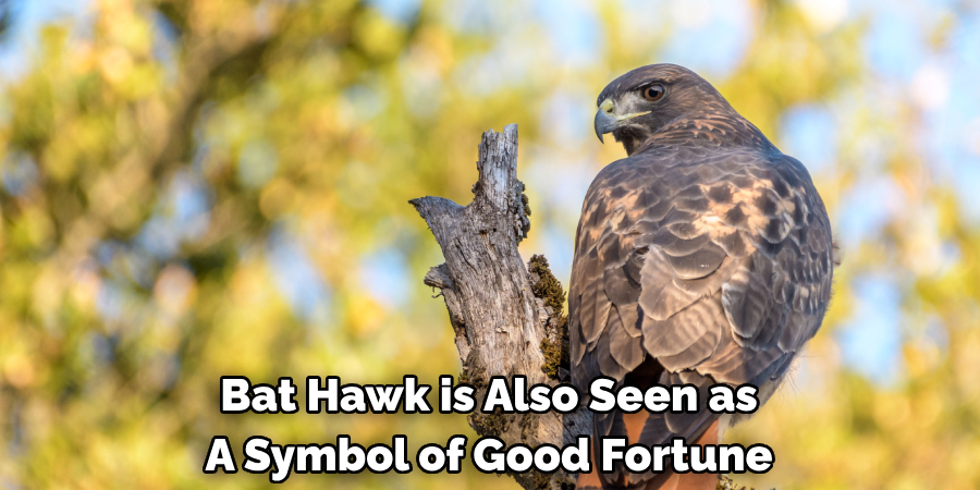 Bat Hawk is also seen as a symbol of good fortune