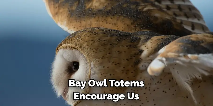 Bay Owl Totems Encourage Us