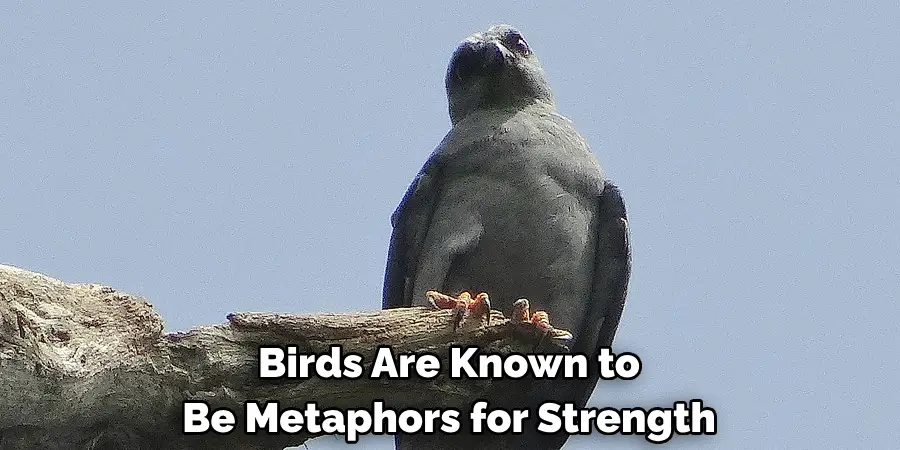 Birds Are Known to Be Metaphors for Strength