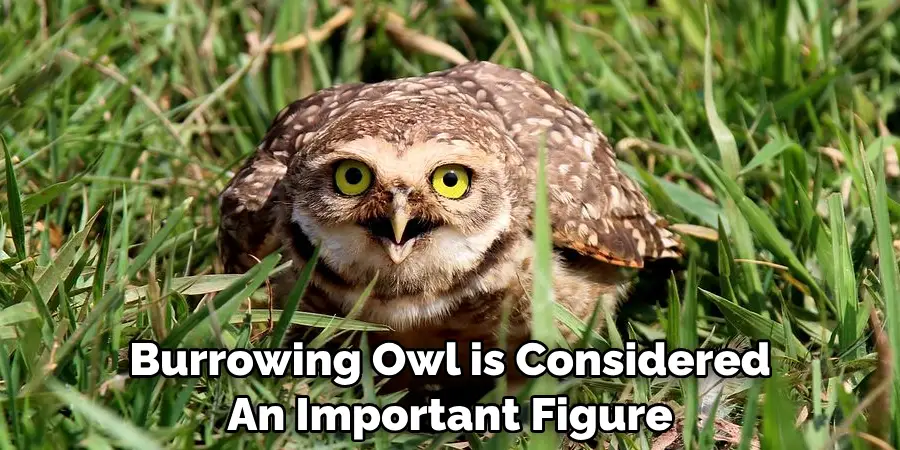 Burrowing Owl is Considered An Important Figure
