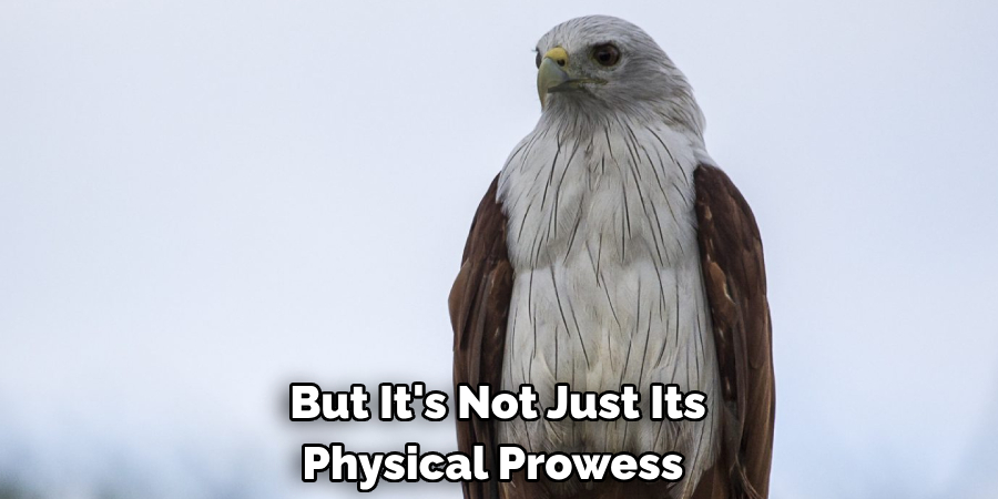 But It's Not Just Its Physical Prowess