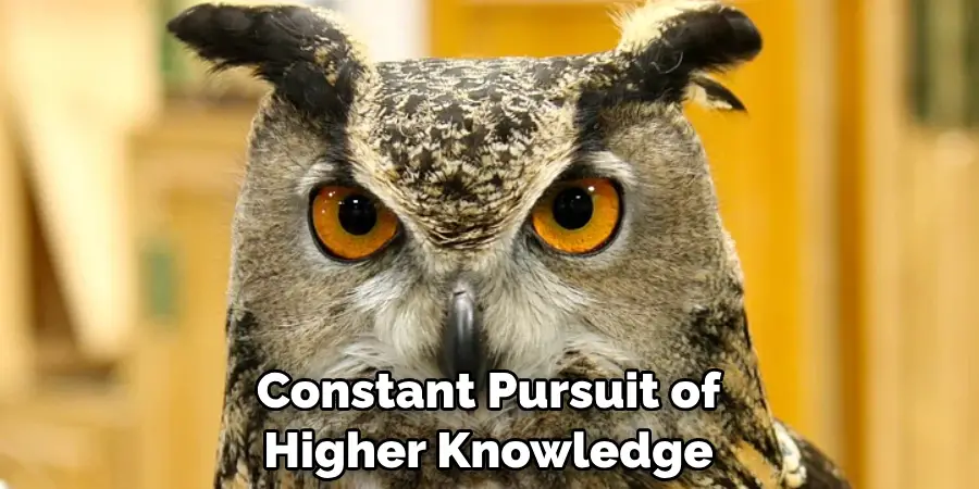 Constant Pursuit of Higher Knowledge