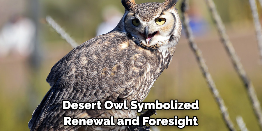 Desert Owl Symbolized Renewal and Foresight
