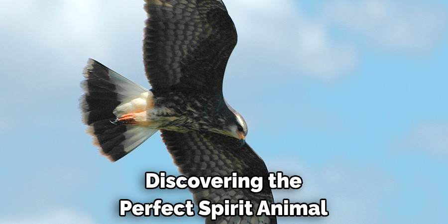 Discovering the Perfect Spirit Animal