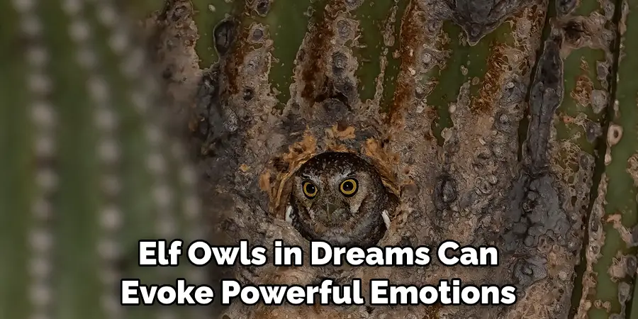 Elf Owls in Dreams Can Evoke Powerful Emotions