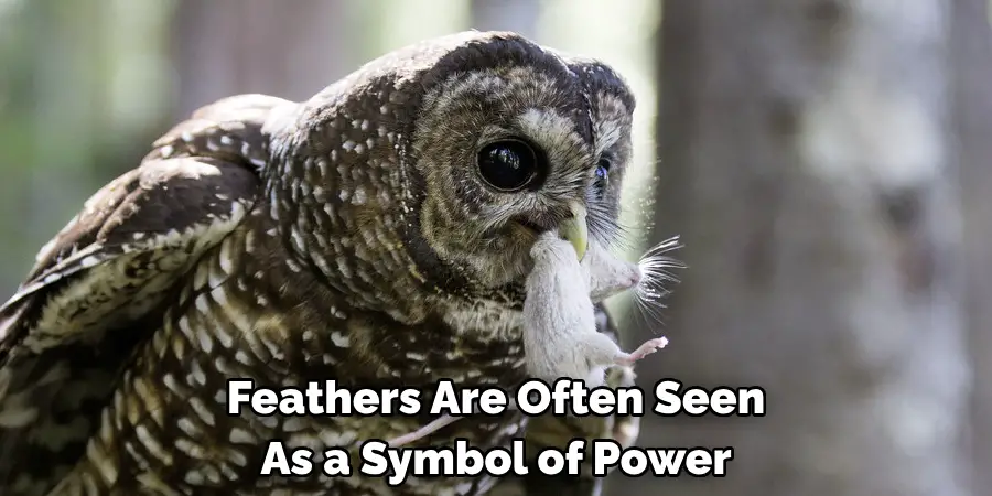 Feathers Are Often Seen As a Symbol of Power