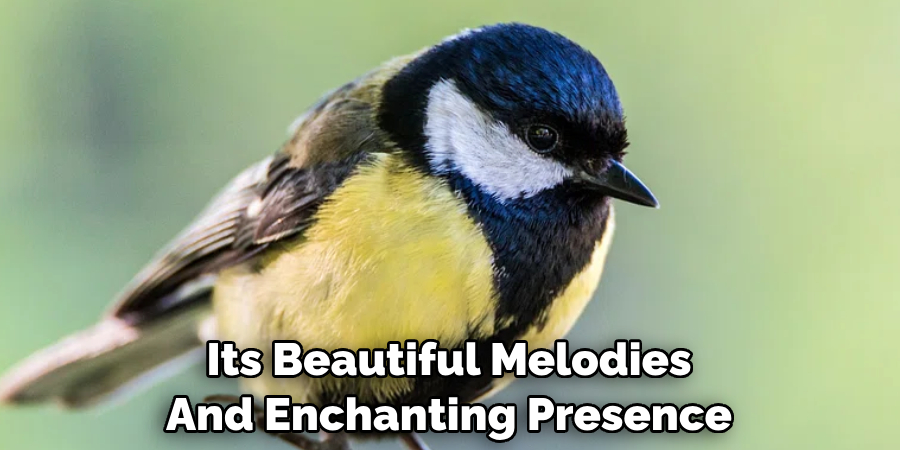 Its Beautiful Melodies And Enchanting Presence